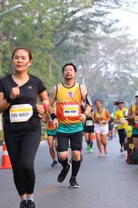 BIB: 16021, 11331
                            <button type="button" onclick="openModal(10414252)" class="btn btn-primary btn-sm float-right btn-popup" data-toggle="modal" data-target=".modal-high-quality">
                        <i class="fas fa-shopping-cart"></i> Add to Cart
                    </button>
                                            <button type="button" onclick="isThisMe(10414252, true)" class="btn btn-success btn-sm float-right btn-popup btn-isme hidden" data-toggle="tooltip" data-placement="bottom" title="นี่คือรูปของคุณใช่ไหม คลิกที่นี่เพื่อเอาเข้าอัลบั้ม">
                        <i class="fas fa-plus"></i> Add to album
                    </button>
                    <button type="button" onclick="isThisMe(10414252, false)" class="btn btn-warning btn-sm float-right btn-popup btn-isnotme hidden">
                        <i class="fas fa-ban"></i> Remove from album
                    </button>